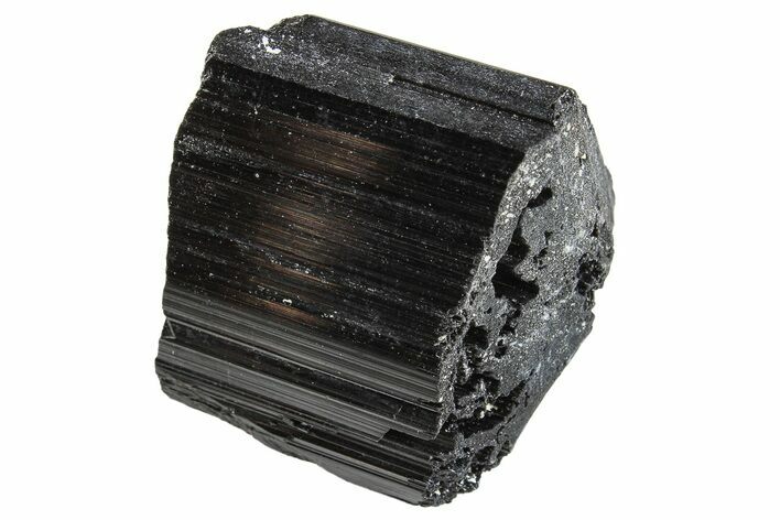 Terminated Black Tourmaline (Schorl) Crystal - Madagascar #295035